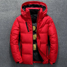 Jaqueta Masculina Puffer Montelezzi ML161, confeccionada em poliéster com forro acolchoado e fechamento em zíper, proporcionando conforto e proteção térmica.